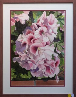 Susan Tierney "Pelargoniums" Watercolor $500
