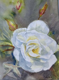 Alexandra Sullivan "Summer Scent"