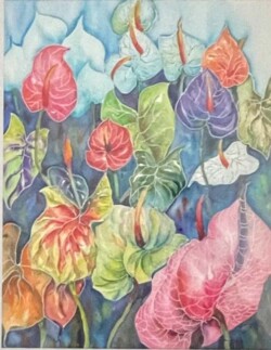 Alice Sioson Anthurium