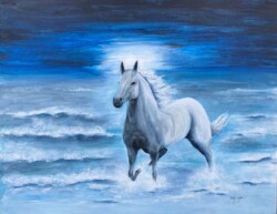 Kathleen Smalley "Saltwater Stallion"