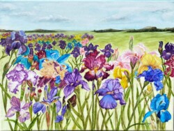 Kathleen Smalley "The Iris Field"