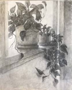 Steven Coler "Morning Light" (charcoal)