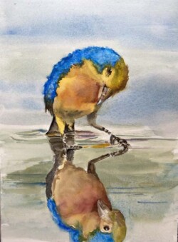 Alexandra Sullivan "Reflection"