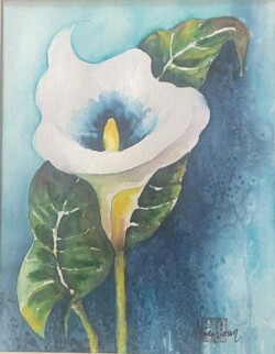 Alice Sioson "Calla Lilly"