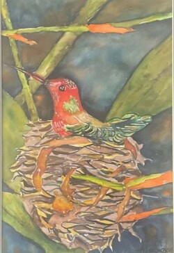 Alice Sioson "Hummingbird Nest"