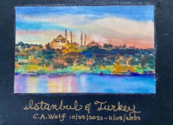 Carrol Wolf "Istanbul and Turkey"