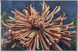 Hedi Roethel "Chrysanthemum"