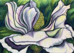 Irene Williams "Proud Magnolia"