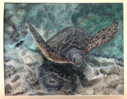 Kathy Wallace-Phelps "Maui Sea Turtle"