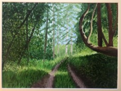 Kathy Wallace-Phelps "Orcas Road"