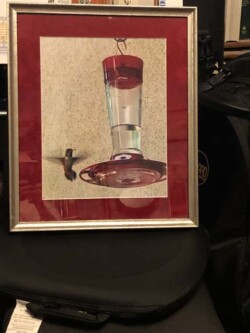 Lorena Sikorski "Hummingbird"