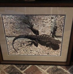 Lorena Sikorski "Taking a Walk"