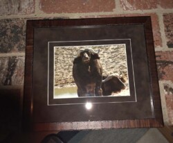 Lorena Sikorski "Water Buffalo"