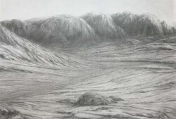 Steven Coler "Long Walk"