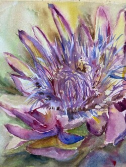 Alexandra Sullivan "Artichoke" NFS