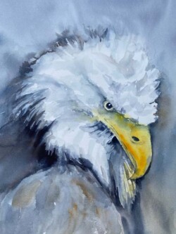 Alexandra Sullivan "Balk Eagle" NFS