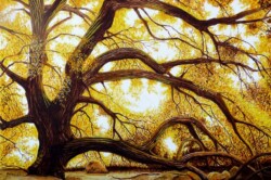 Anthony Podue "The Great Golden Oak" POR