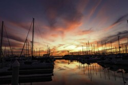 Donna Dean "Sunset At Alamitos Marnia" NFS