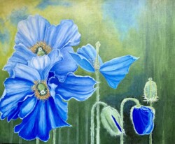 Irene Williams "Blue Poppies" $450