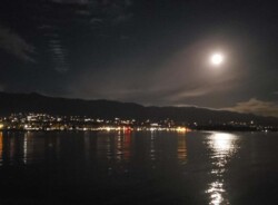 Lillian Sasaki "Winter Moon" NFS