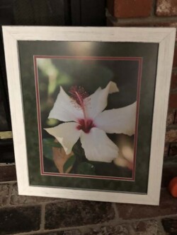 Lorena Sikorski "White Flower" NFS