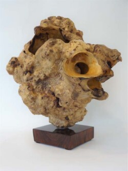 Robert Rosenfield "0116 Indonesian Coffeewood" $2,495