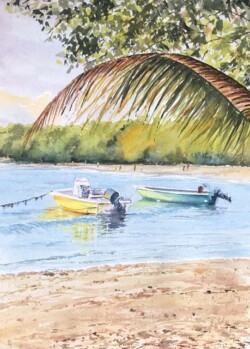 Sandy Winkler "Martinique Beach" NFS