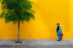 Daniel Anderson "Woman In Guadalajaa"