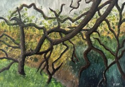 Kathy Wallace-Phelps "Oak Grove in Descanso Gardens"
