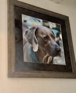 Lorena Sikorski "Mr Peanut"