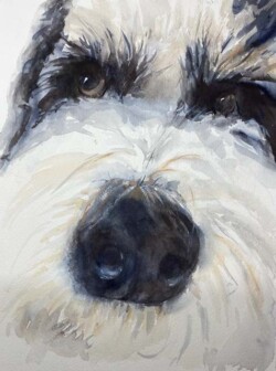 Alexandra Sullivan "In Your Face"