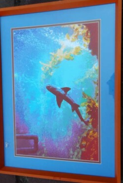 David Rucker "Monterey Shark"