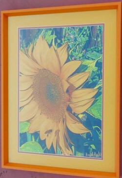 David Rucker "Wild Sunflower"