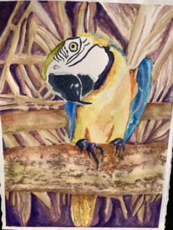 Denise Zasadny "Costa Rican Tiki"