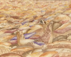 Denise Zasadny "Sea Dog Pile"