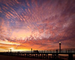 Donna Dean "Buttermilk Sunset at Seal Beach"