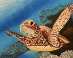 Margarita De Jesus "Turtle Rise"