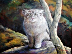 Pat Edep "Pallas Cat"