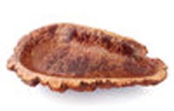 Robert Rosenfield "09172C_RedMalleeBurl"