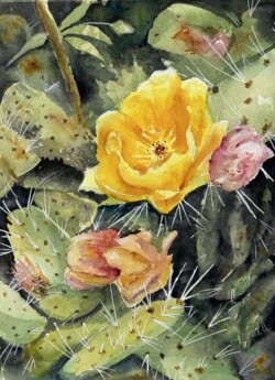 Sandy Winkler "Cacti"