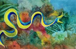 Carrol Wolf "Ribbon Eel" Watercolor