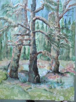 Elizabeth Butterfield "Final Resting Place" Other Media