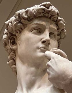 Leslie Lawson Dirgo "David di Michelangelo" Photography