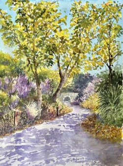 Sandy Winkler "Crystal Cove Path" Watercolor