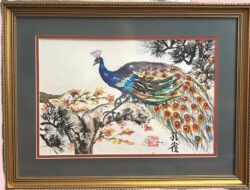 Alice Sioson "Peacock" Other Media