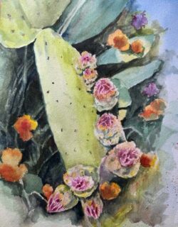 Alix Sullivan "Cactus Blooms" Watercolor
