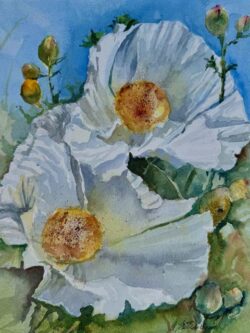 Alix Sullivan "Reaching for the Sun" Watercolor