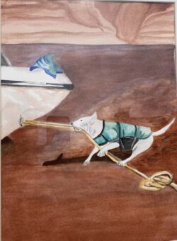 Denise Zasadny "Lake Powell Rescue" Watercolor