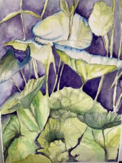 Denise Zasadny "Lillys" Watercolor