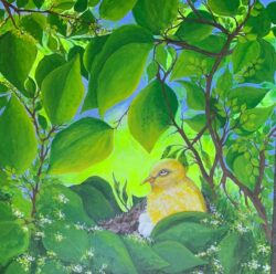 Irene Williams "Forest Canary" Oil